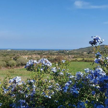 La Casa Di Eve Villa Budoni Bagian luar foto