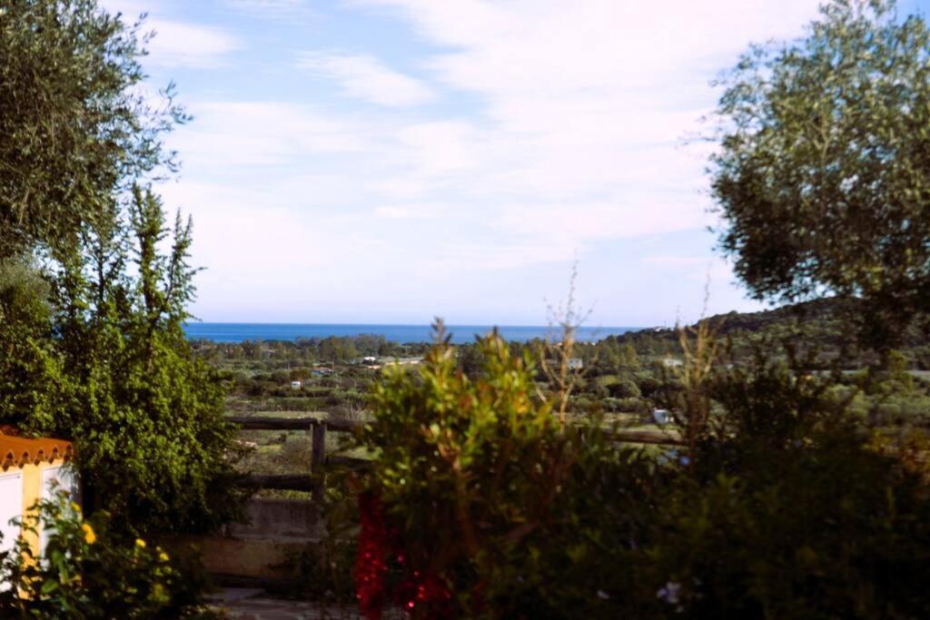 La Casa Di Eve Villa Budoni Bagian luar foto