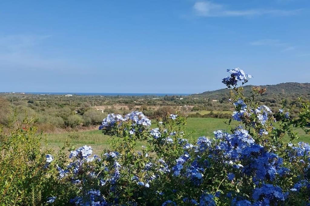 La Casa Di Eve Villa Budoni Bagian luar foto