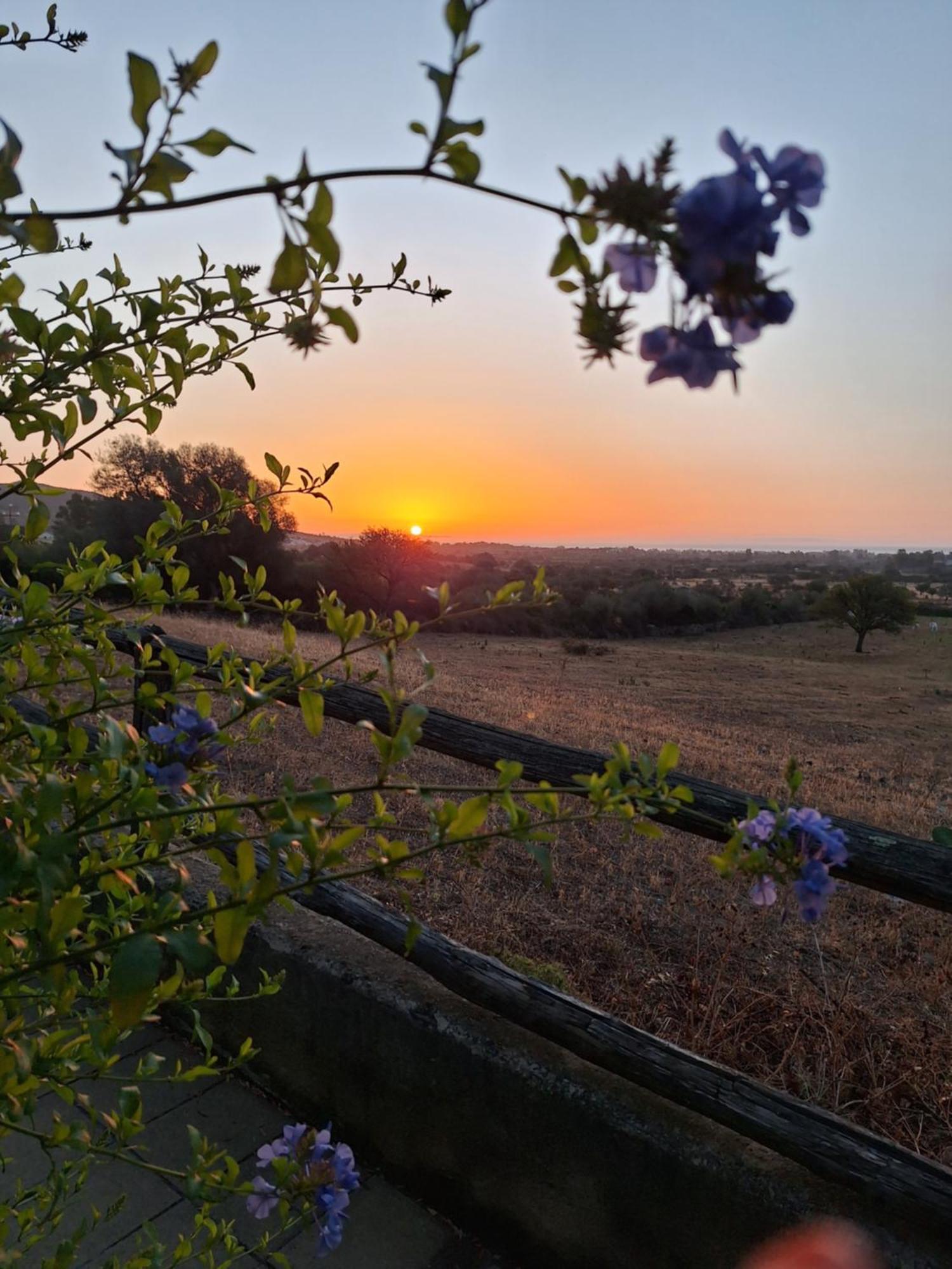 La Casa Di Eve Villa Budoni Bagian luar foto