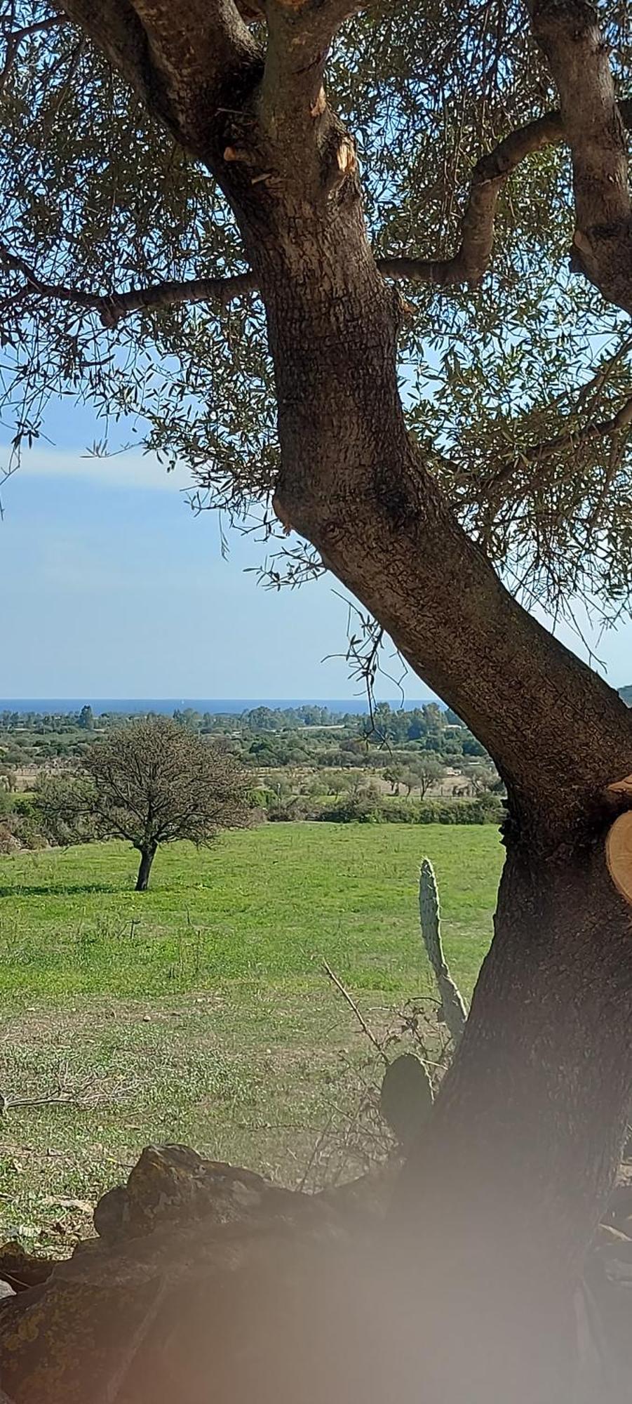 La Casa Di Eve Villa Budoni Bagian luar foto