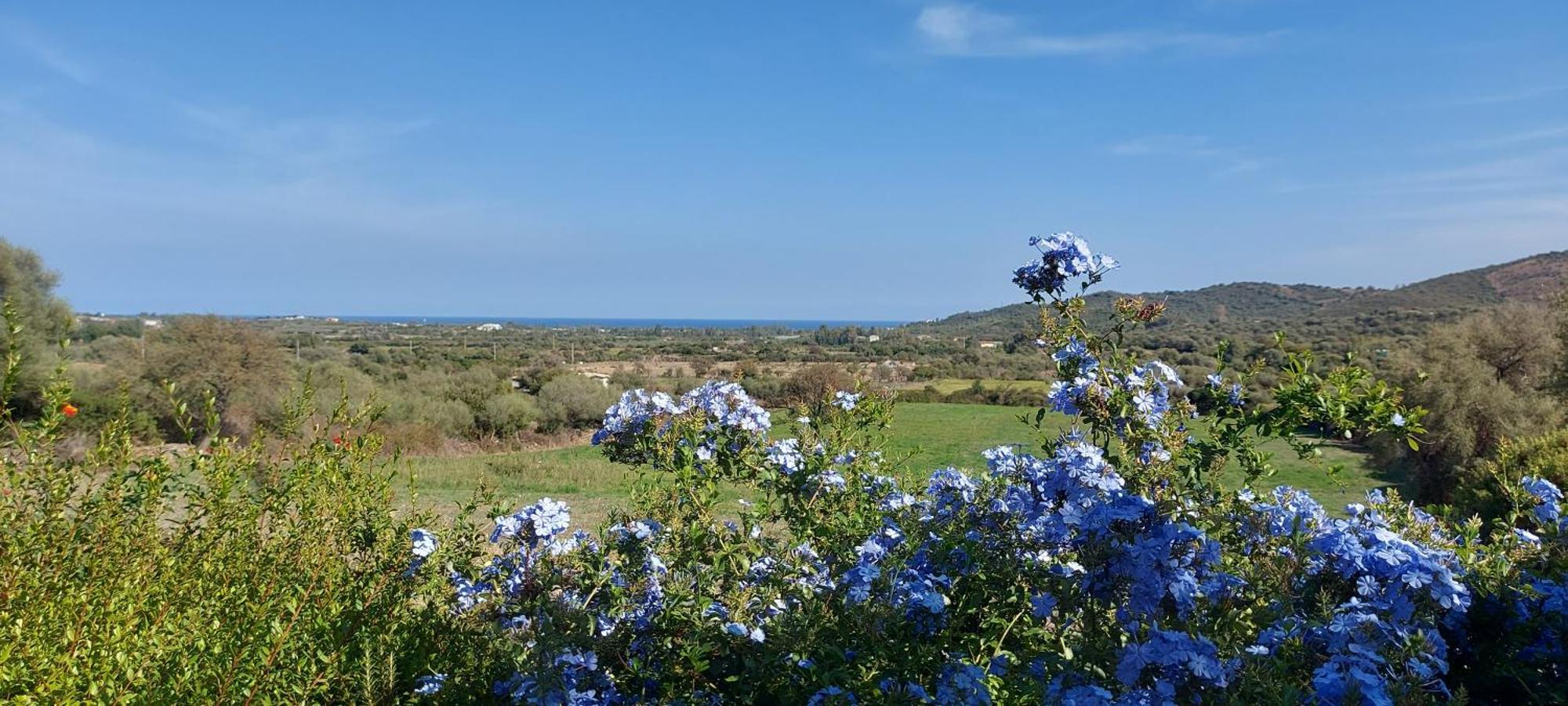 La Casa Di Eve Villa Budoni Bagian luar foto